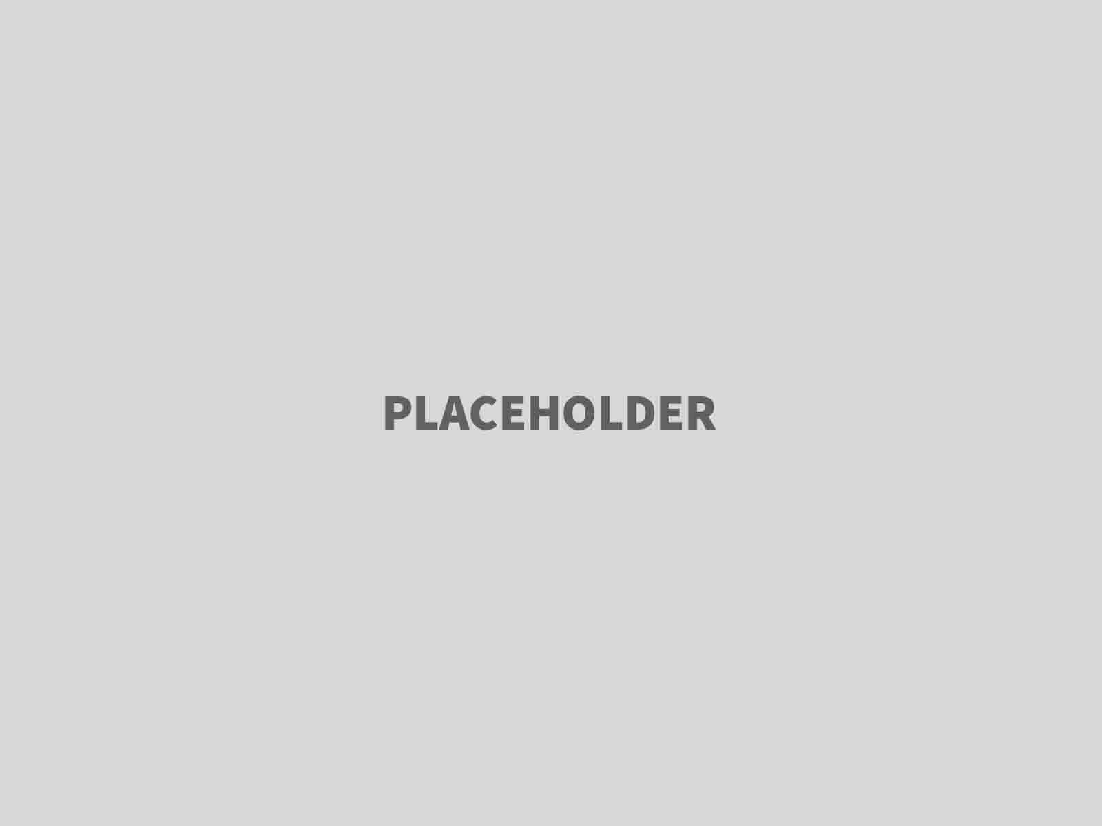 Mitgliederumfrage Werkebereich